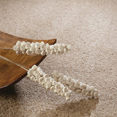 Carpet Showroom Exeter