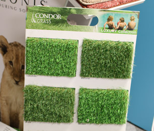 Carpet Showroom Exeter