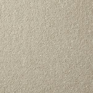 Carpet Exeter