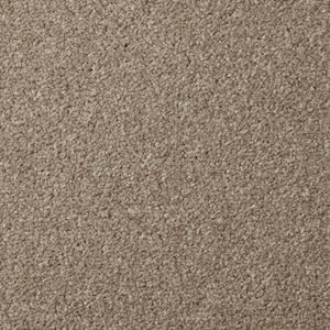 Carpet Showroom Devon
