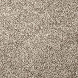 Carpet Showroom Devon