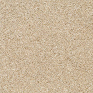 Carpets Exeter