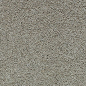 Carpet Showroom Exeter
