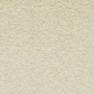 Carpet Showroom Exeter