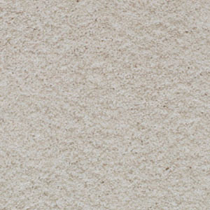Carpet Showroom Exeter