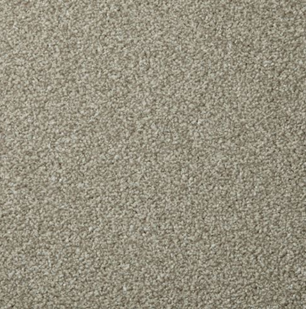 Carpet Showroom Exeter