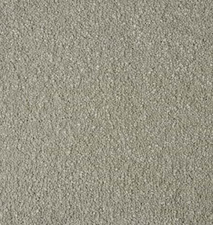 Carpet Showroom Exeter