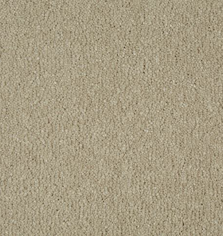 Carpet Showroom Exeter