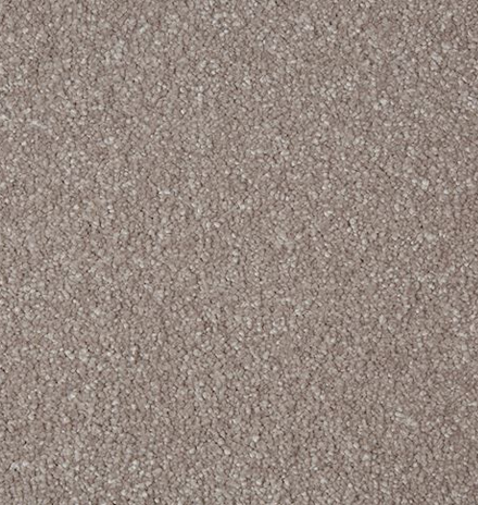 Carpet Showroom Exeter