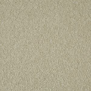 Carpets Shop Devon