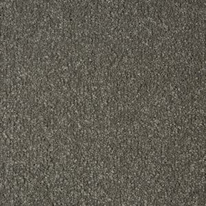 Carpets Shop Devon