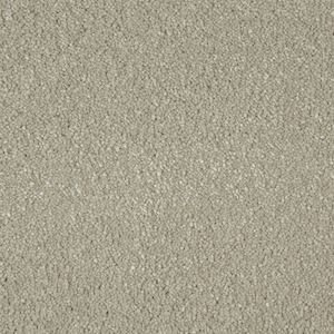 Carpet Showroom Exeter