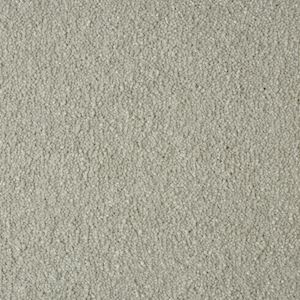 Carpet Showroom Exeter
