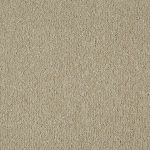 Carpets Fitters Exeter