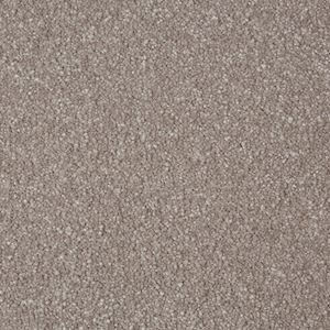 Carpets Fitters Exeter